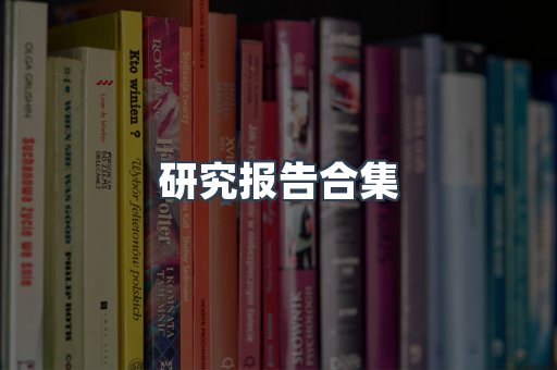 研究报告合集
